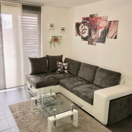 Le T2 Appartement Moderne Avec Terrasse Et Parking Straßburg Exterior foto