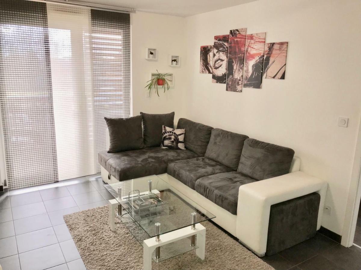 Le T2 Appartement Moderne Avec Terrasse Et Parking Straßburg Exterior foto